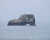 BillCath > Near Morro Bay, California, Feb 09
So, what makes it look like a shoe at a quick glance? :)