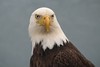 What are you looking at? :)