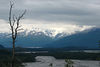 BillCath > Alaska Train >  M5_5922