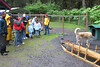 BillCath > Next, we visit the young dogs kennels.