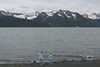 BillCath > Back at the Seward city campground, the girls hit the beach...