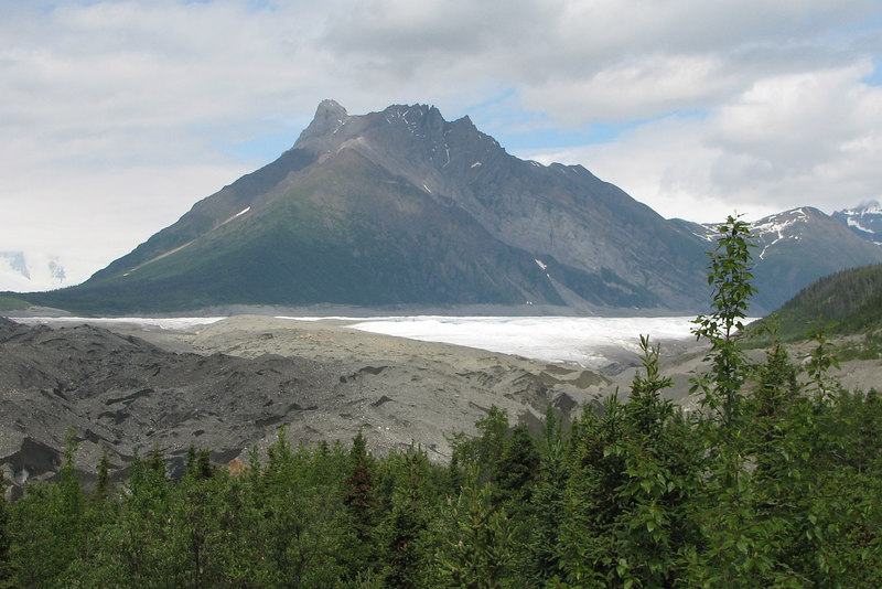 BillCath > Wrangell-St.Elias NP, June 2006 >  M5_5756