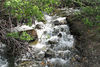 BillCath > Over the classic bubbling brook.