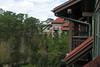 BillCath > The view from our 5th floor balcony; more lodge views later.