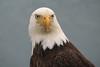 What are you looking at? :)